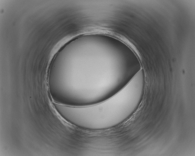 X0000071361485200606230825