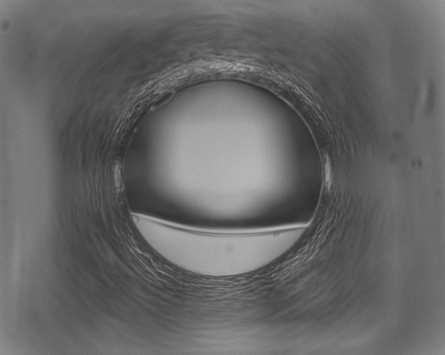 X0000071361492200606230824