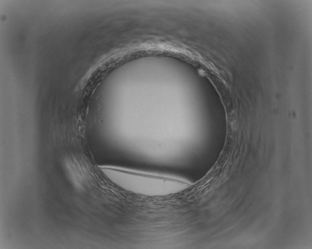 X0000071361495200606230824