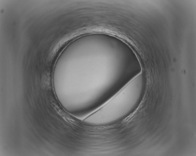 X0000071361499200606230825