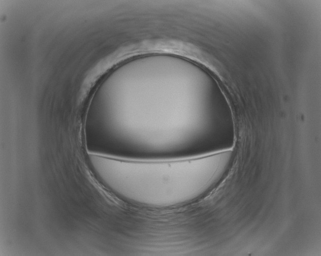 X0000071361507200606230825