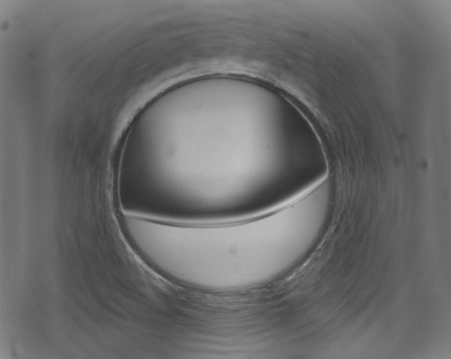 X0000071361508200606230825