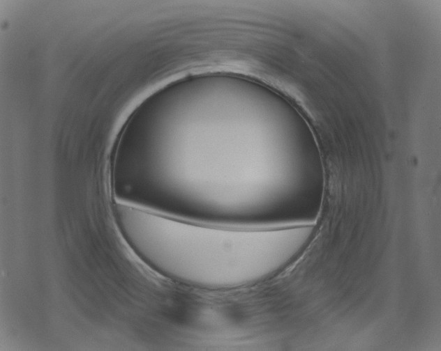 X0000071361516200606230825