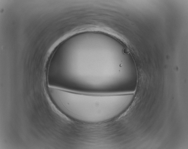 X0000071361518200606230825