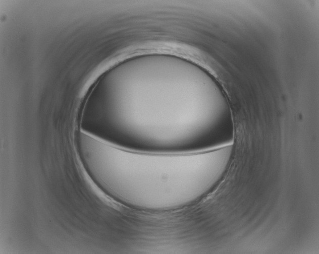 X0000071361523200606230825