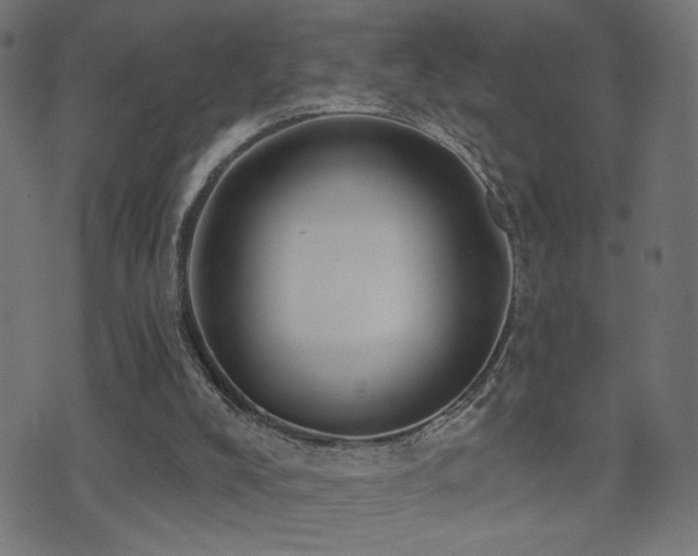 X0000071360008200606231211