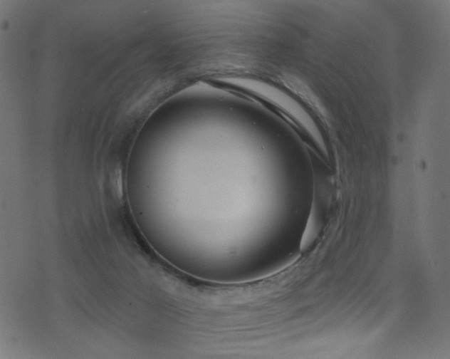 X0000071360021200606231210
