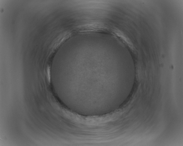 X0000071360022200606231210