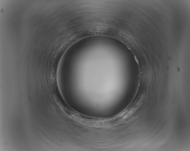 X0000071360040200606231210
