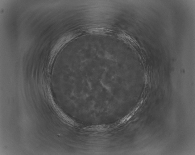 X0000071360049200606231209