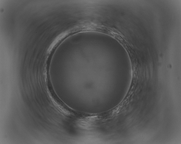 X0000071360054200606231209