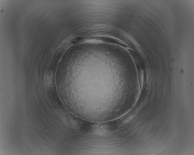 X0000071360073200606231210