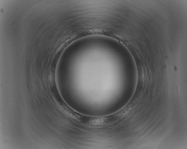 X0000071360084200606231210