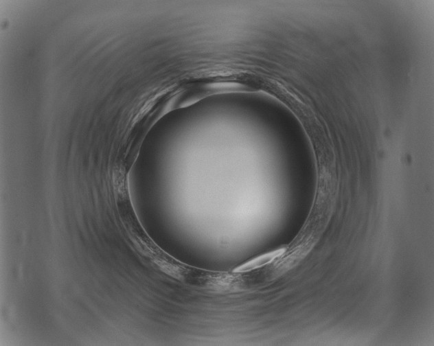 X0000071360096200606231210