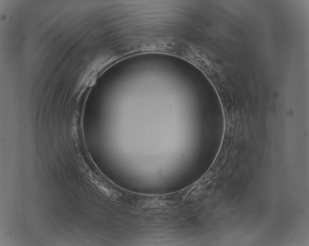 X0000071360098200606231209