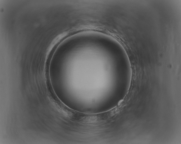X0000071360104200606231209