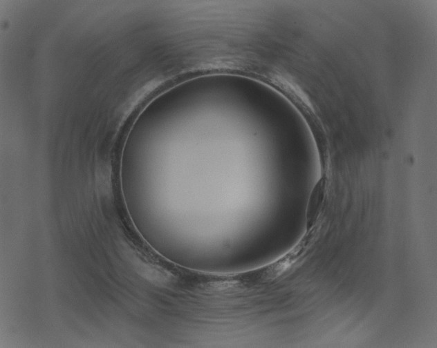 X0000071360108200606231209