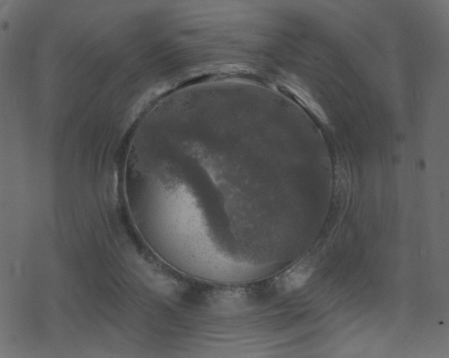 X0000071360110200606231209