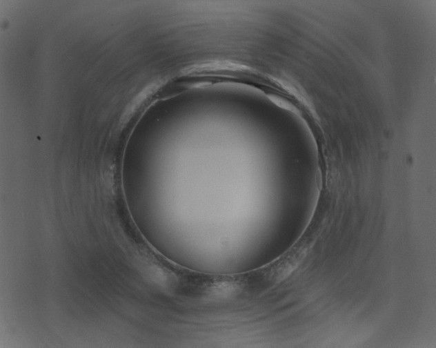 X0000071360111200606231209