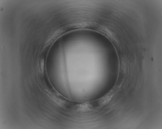 X0000071360118200606231209