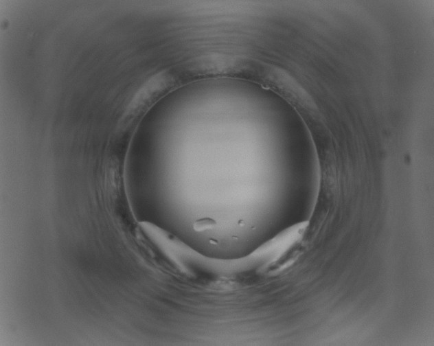 X0000071360119200606231209