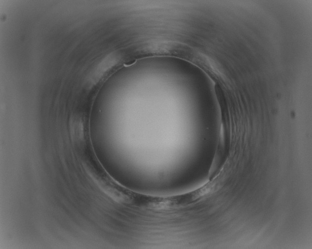 X0000071360120200606231209