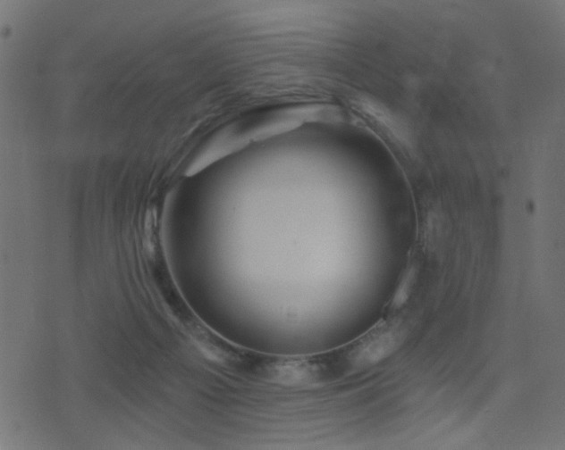 X0000071360121200606231209