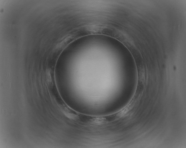 X0000071360128200606231209