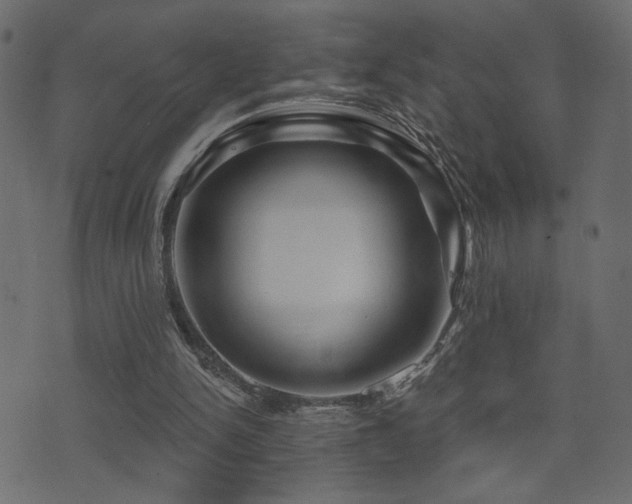 X0000071360150200606231208
