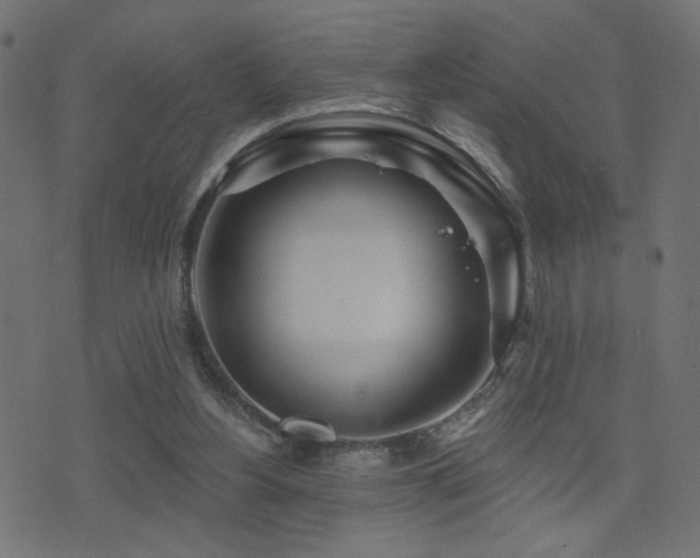 X0000071360156200606231208