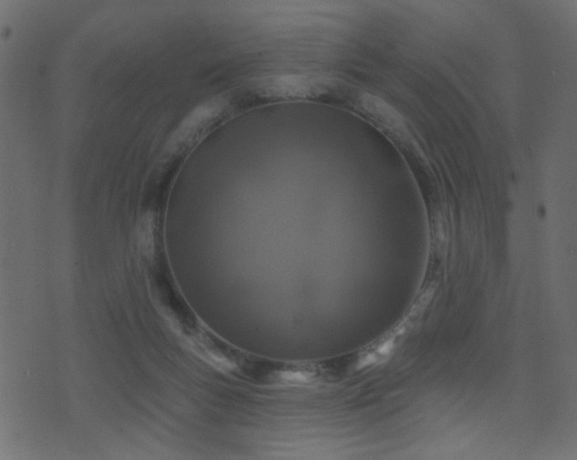 X0000071360167200606231208