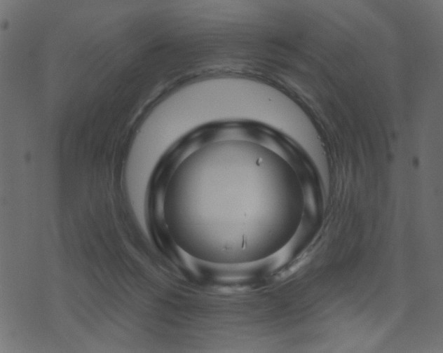 X0000071360168200606231208