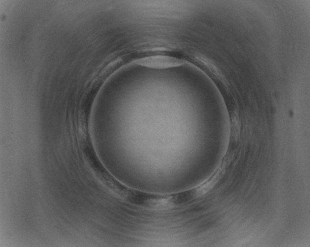 X0000071360170200606231208