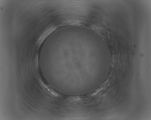 X0000071360194200606231208