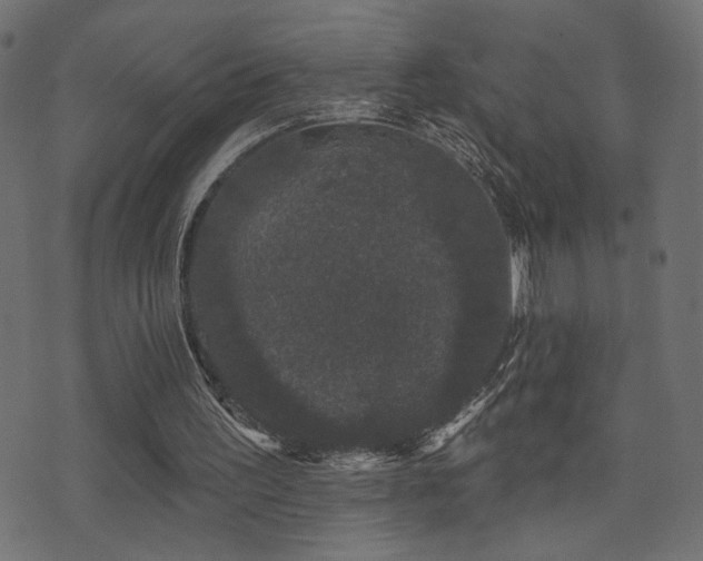 X0000071360195200606231208