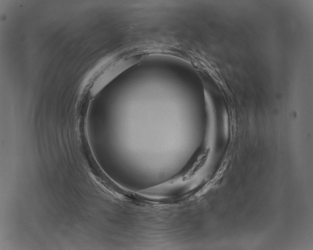 X0000071360197200606231207