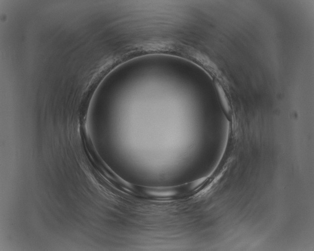 X0000071360201200606231207