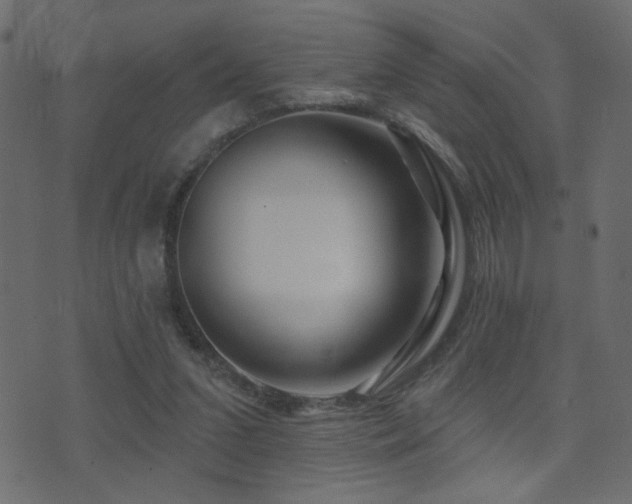 X0000071360207200606231207