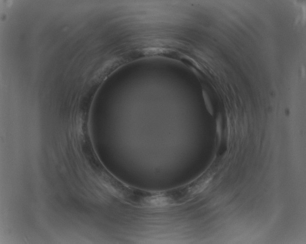X0000071360219200606231207