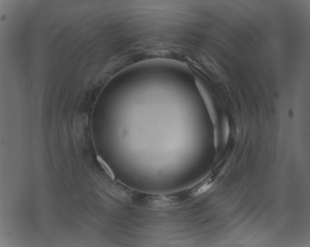 X0000071360229200606231207