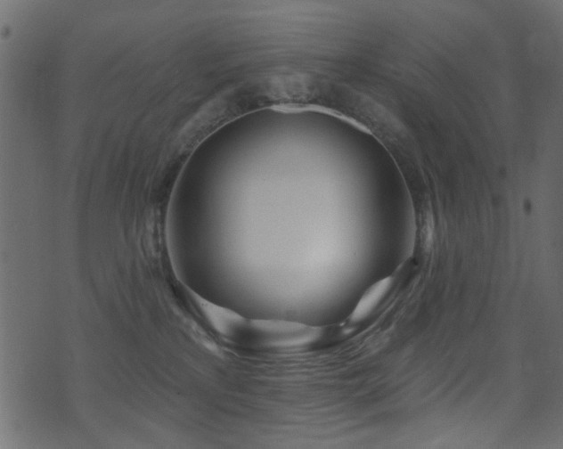 X0000071360233200606231207