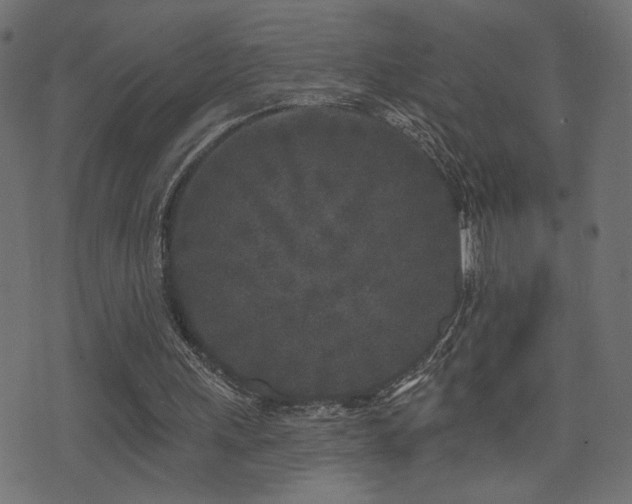 X0000071360243200606231206