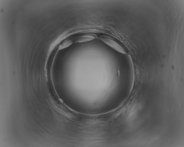 X0000071360246200606231206