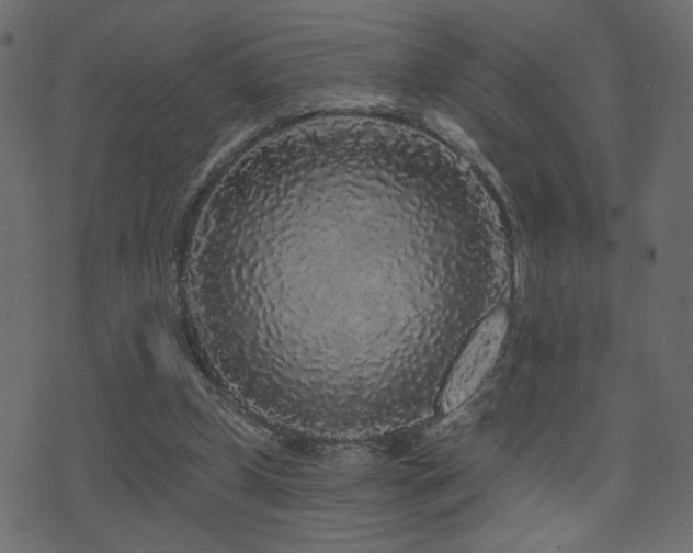 X0000071360249200606231206