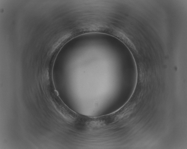 X0000071360251200606231206