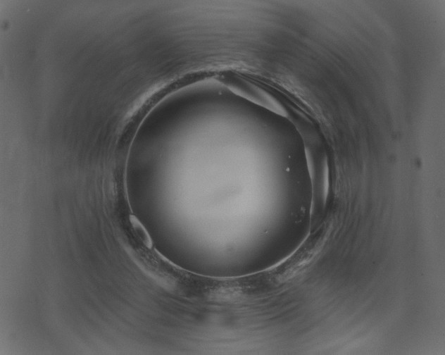 X0000071360252200606231206