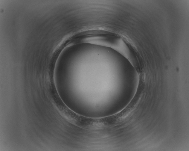 X0000071360256200606231206