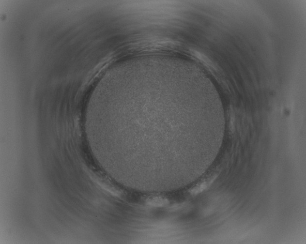 X0000071360258200606231206