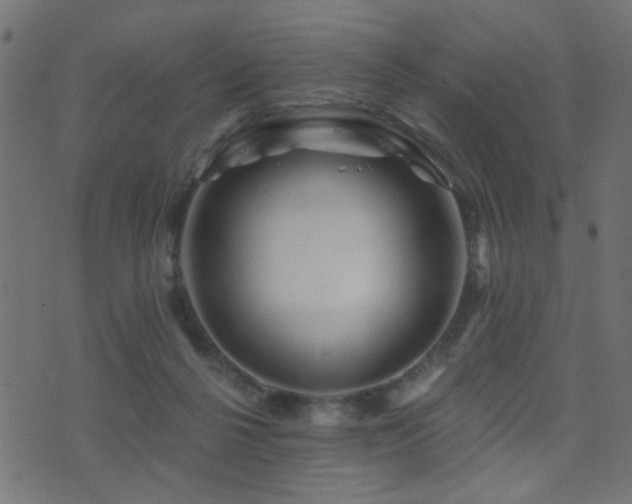 X0000071360264200606231206