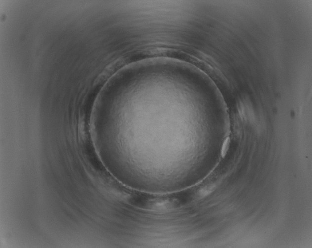 X0000071360267200606231206